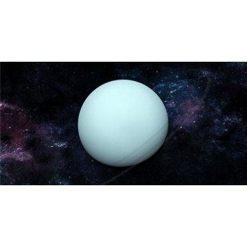 Uranus Photo License Plate
